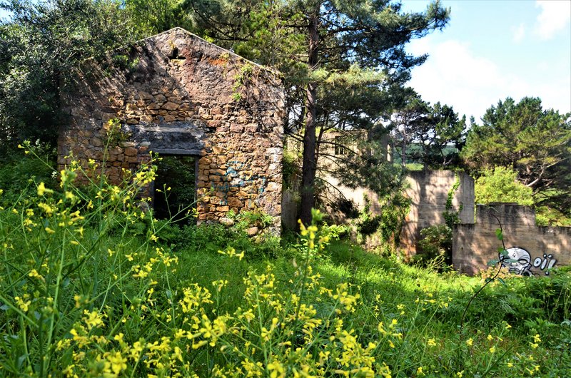 RUTA CARGADERO DE EL CASTILLO-19-5-2021-MUSKIZ - Vizcaya y sus pueblos-2011/2020 (31)