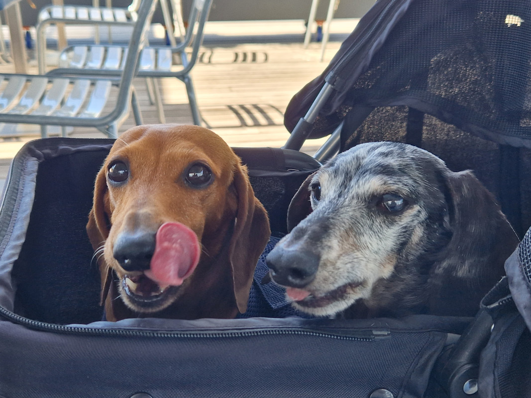 [Image: 20230802-123453.jpg]