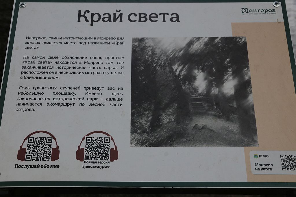 https://i.postimg.cc/5tJzLzQb/IMG-2559.jpg