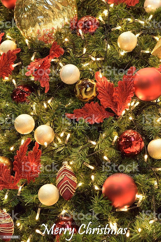 [Image: istockphoto-628530368-1024x1024.jpg]