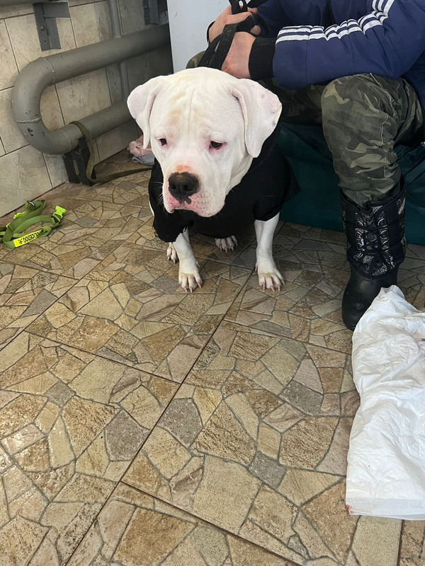 WhatsApp Image 2024-01-16 at 11.10.56 (2)