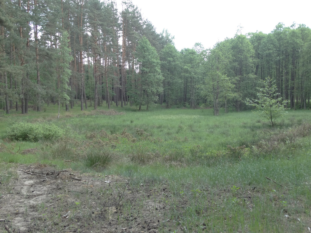 13 - DSC04099 (Czesio1)