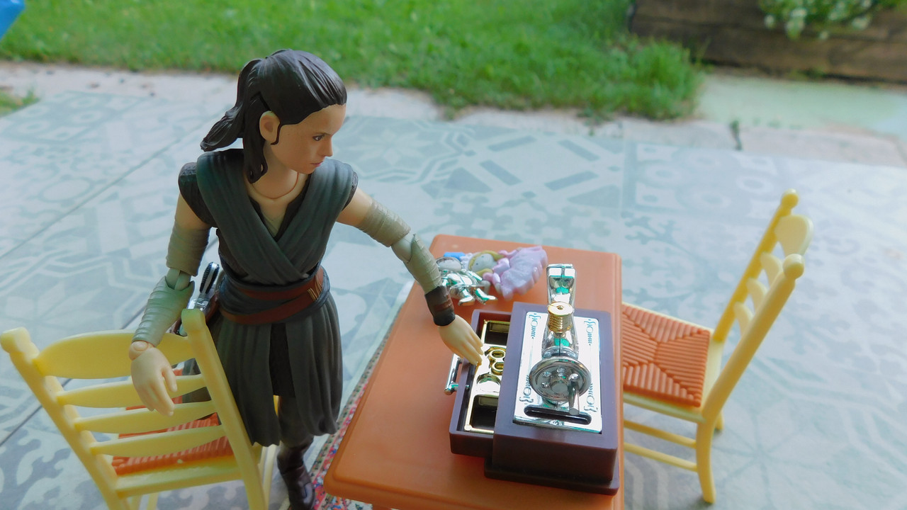 Дачно-Харлинский июнь-июль 2024 148