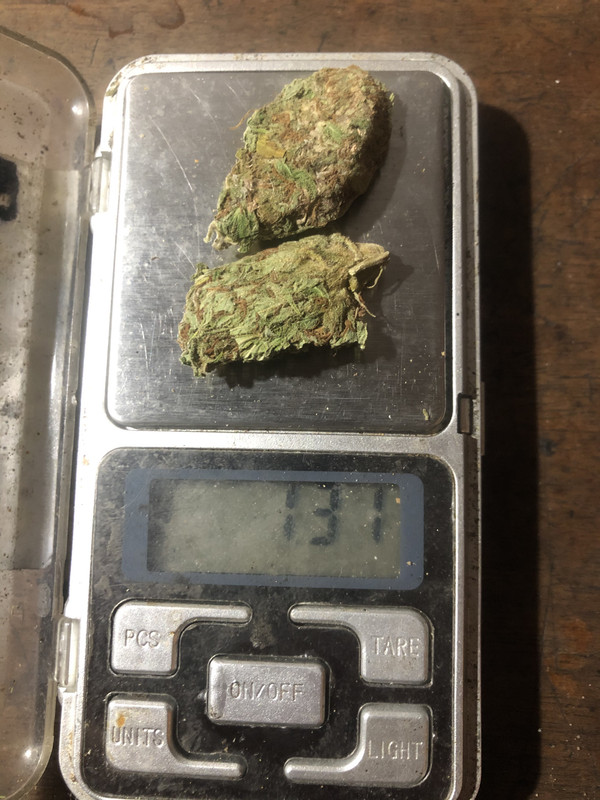 F973E54C-04C2-43F8-8D43-DBBB78475DD9