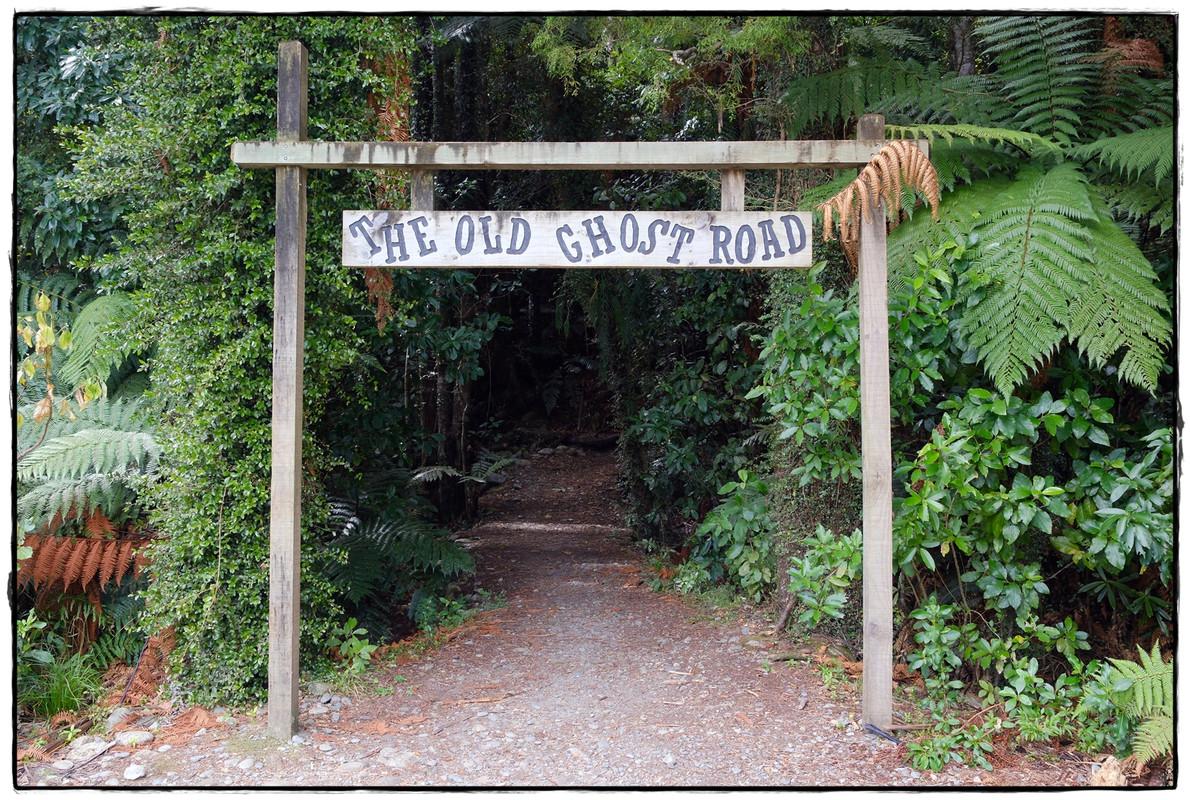 The Old Ghost Road (marzo 2024) - Escapadas y rutas por la Nueva Zelanda menos conocida (5)