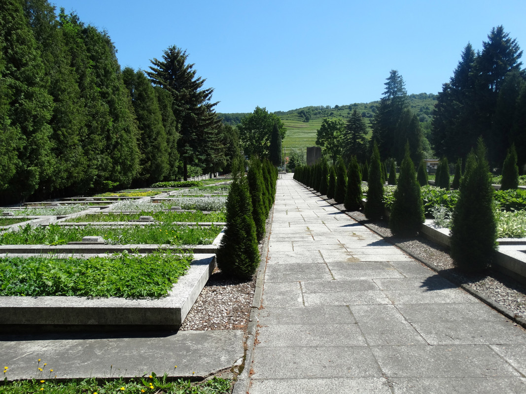 174 - DSC01457 (Lolo)