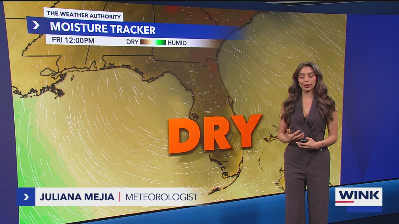 WINK News at 600am_20250306_11001130.ts_snapshot_14.51.844