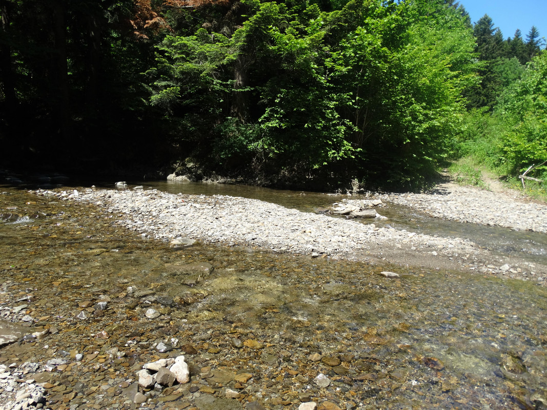 180 - DSC01468 (TomaszK)