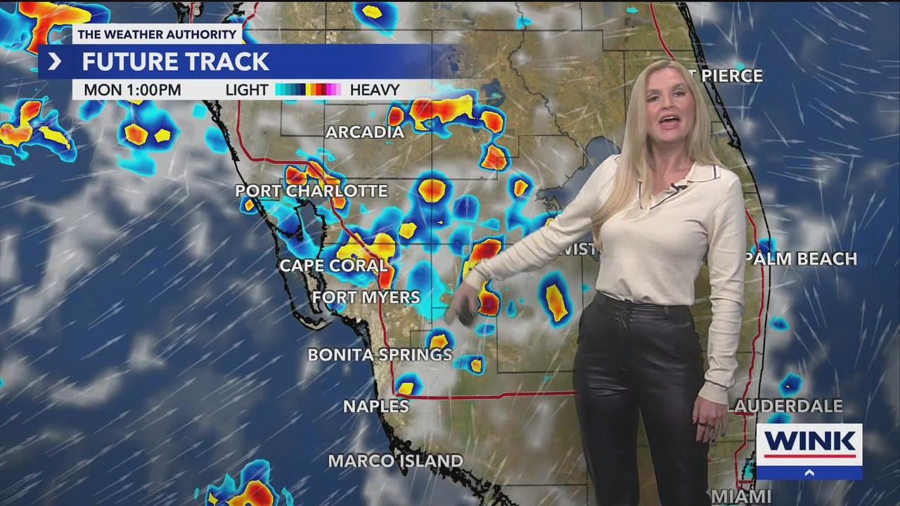 WINK Weekend News at 11PM Sunday_20250908_04000500.ts_snapshot_00.20.59.423