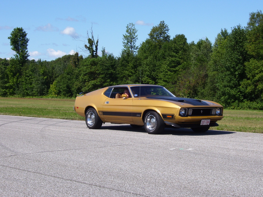 Montréal Mustang dans le temps! 1981 à aujourd'hui (Histoire en photos) - Page 14 100-0459