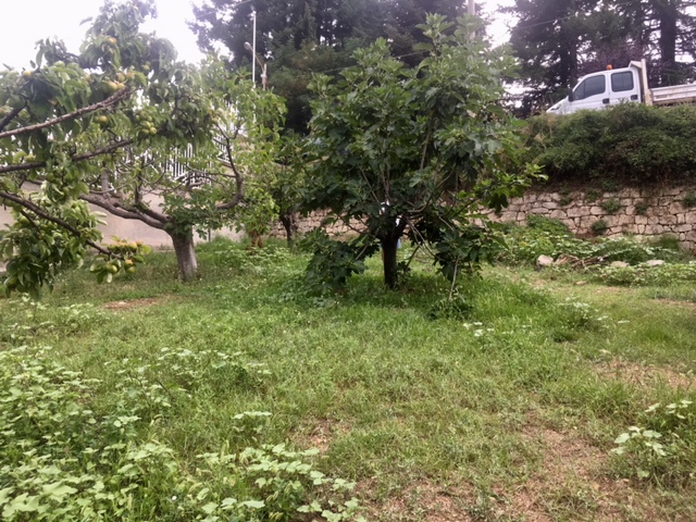 4792D147-7D60-488D-8FBC-4A579682A738