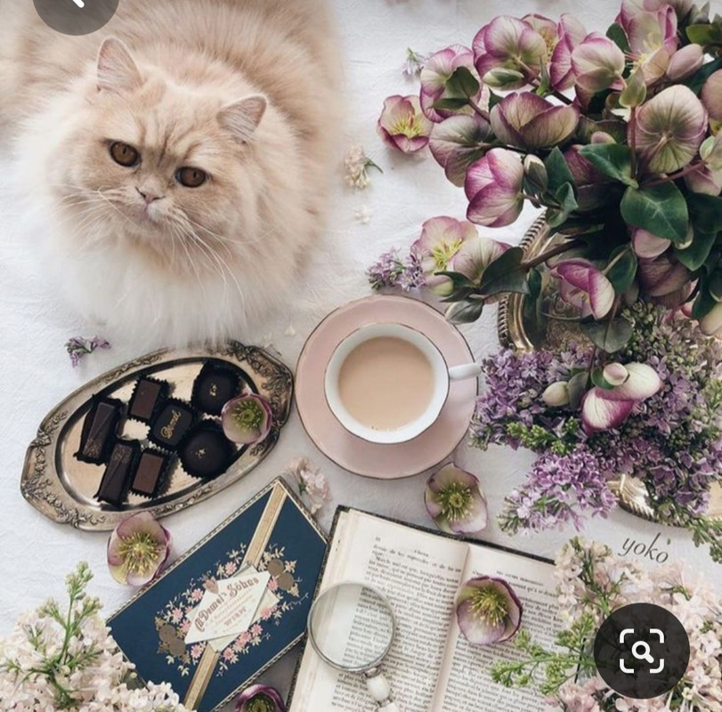 Screenshot_20230418_235517_Pinterest