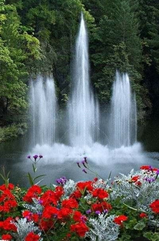 Screenshot_20240512_130648_Pinterest