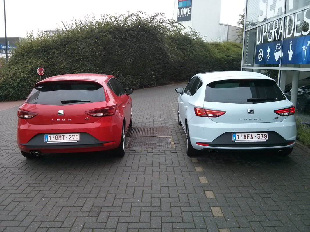 IMG_20140712_105635 cupra fr