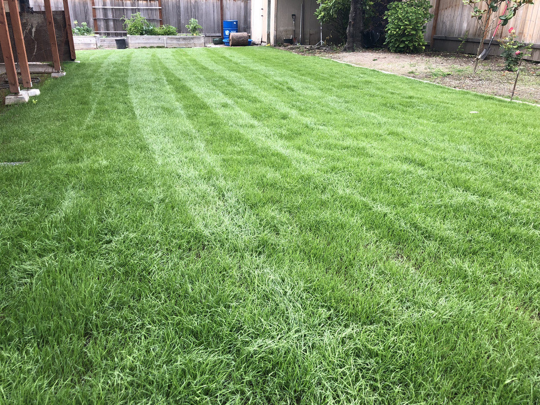 B8F68045-4195-4B88-86B6-A7C7C629B7AD