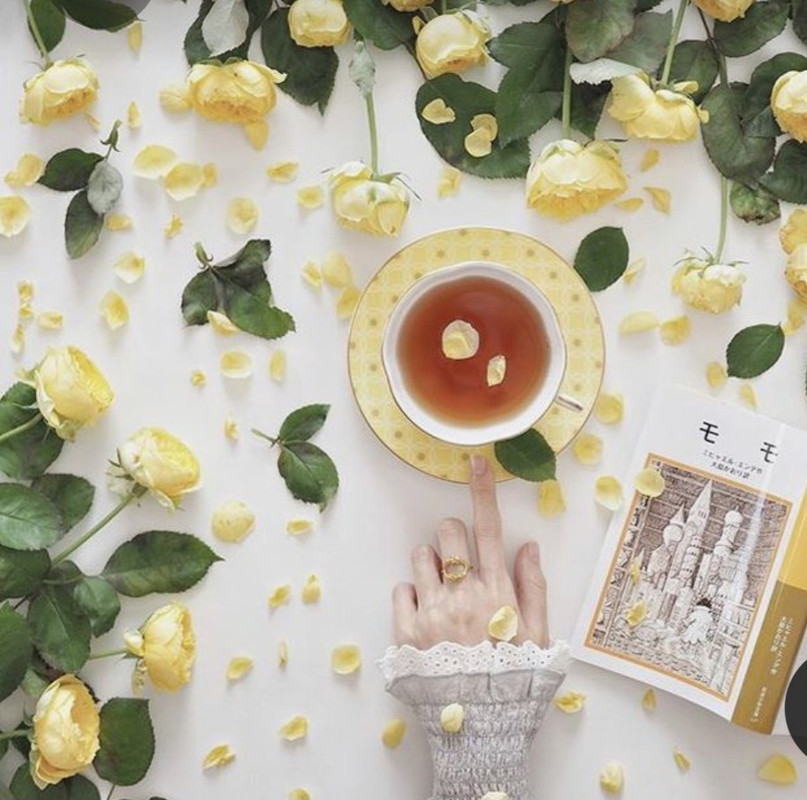 Screenshot_20230220_001904_Pinterest