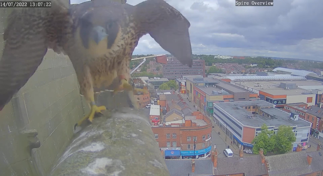 Wakefield Cathedral. - Pagina 2 Video-2022-07-14-153856-Moment-3