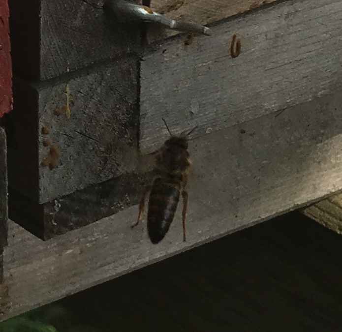 61EC0305-3A42-4E57-9820-AE58213A0578