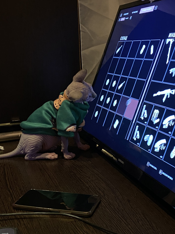 B9C703CB-0A87-4C0D-BF63-83A837AD3E15