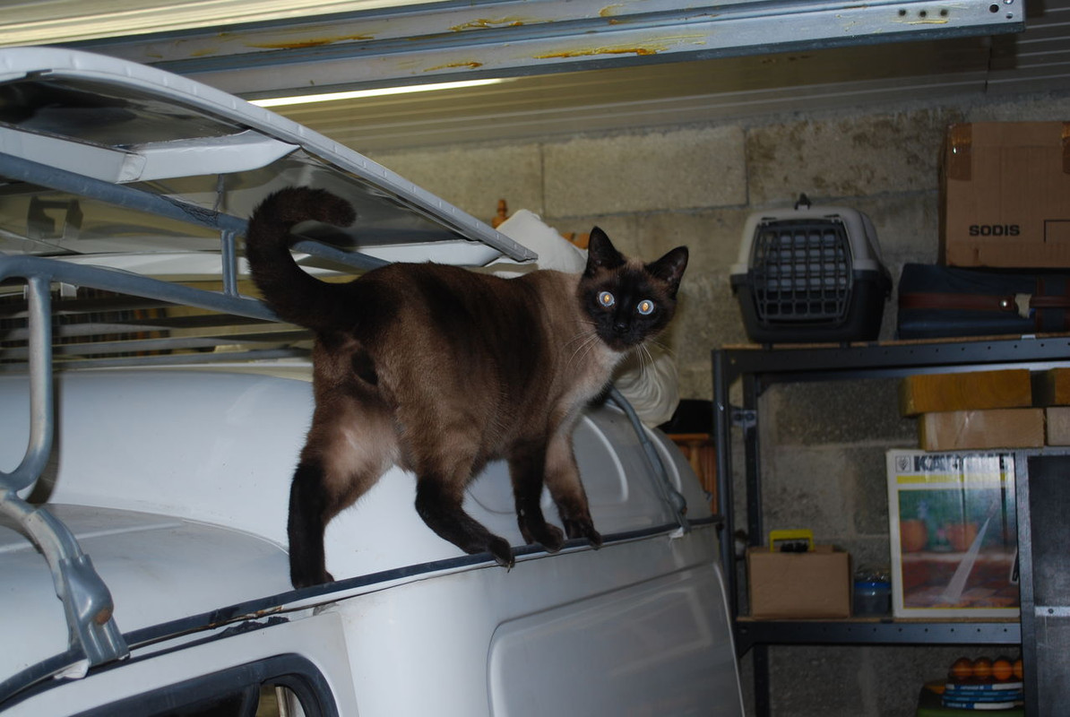 supervision_kezako_01