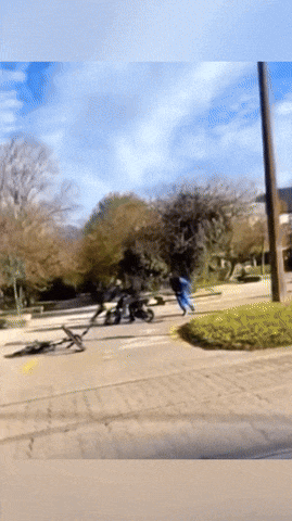 https://i.postimg.cc/5tMZvTPV/Chicagre.gif