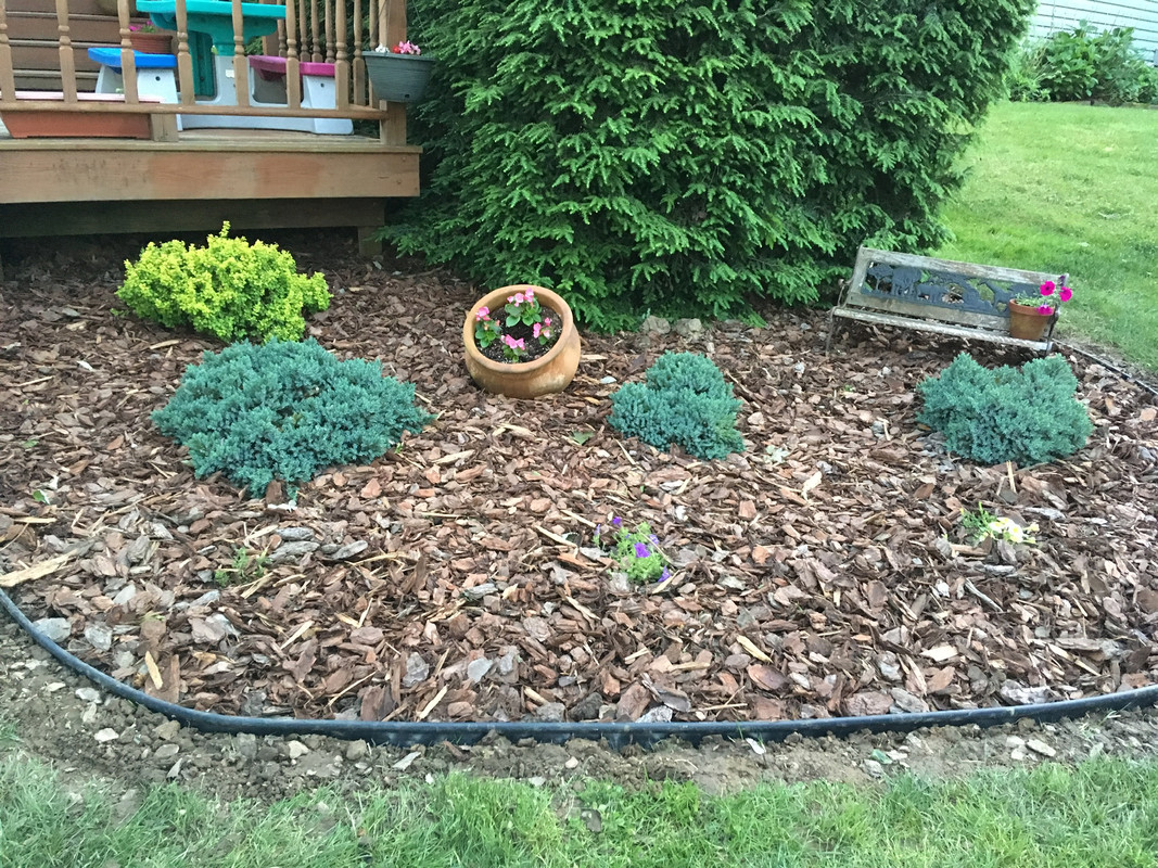 0F97E0DD-DB82-418E-9E43-2A92ECA89E9B