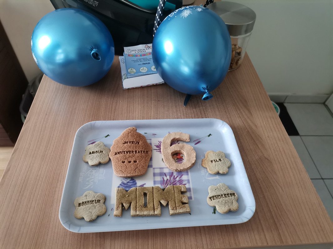 [Image: IMG-20220815-135454.jpg]