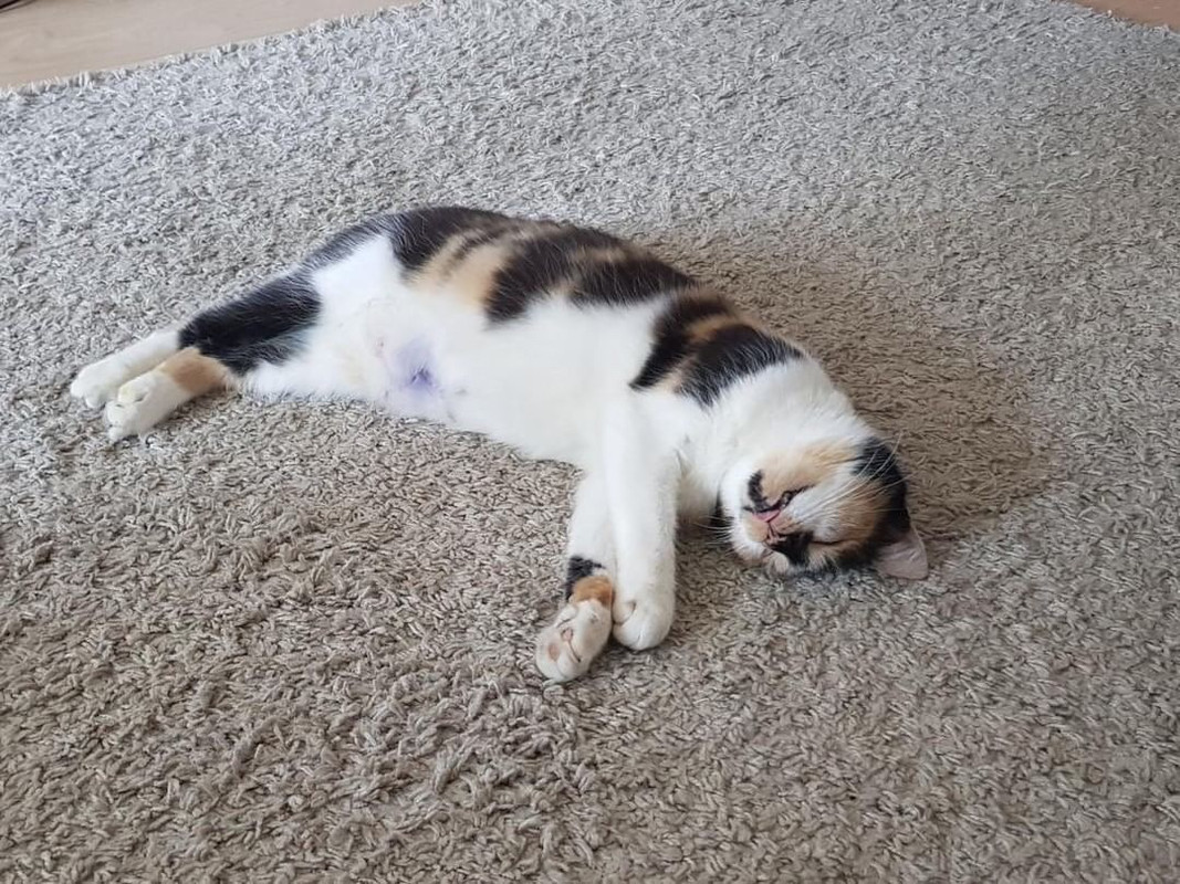 6237DDE5-0391-492A-A1C1-3B18FD5C980E