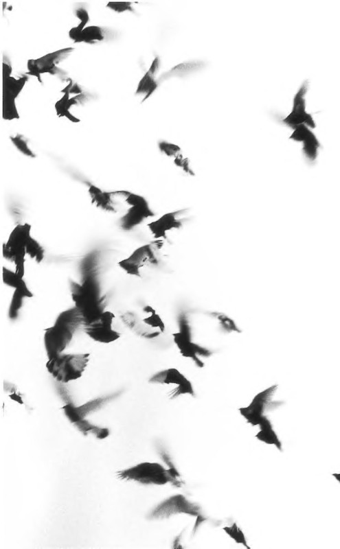 p0003