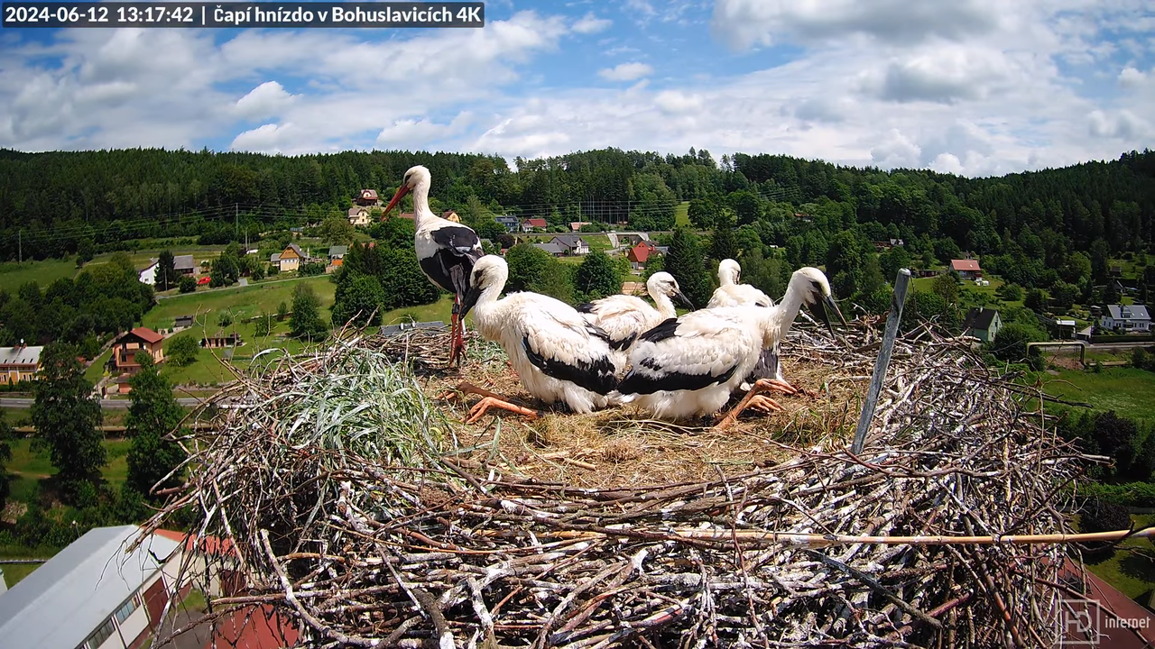 Tiešraidē no uzņēmuma KARA stārķa skursteņa Bohuslavicē pie Trutnovas 13-25-18 screenshot
