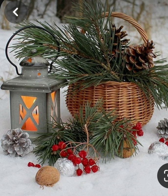 Screenshot_20231229_211530_Pinterest