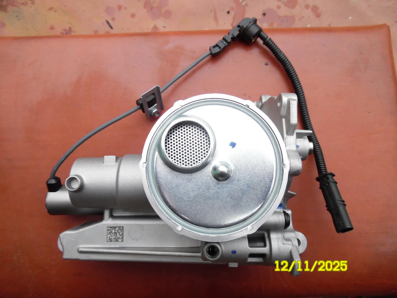 SAM-1605.jpg