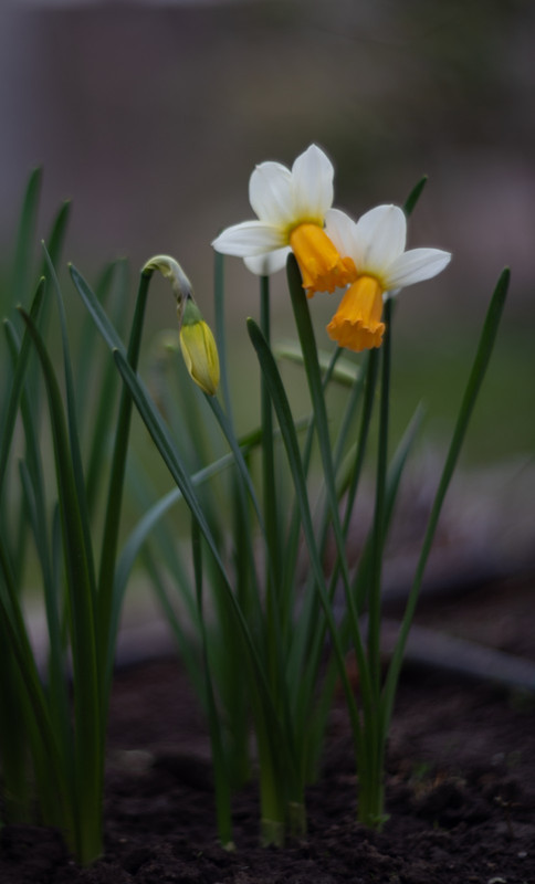 IMG-e6e686417cb717d94459ddcf7130908e-V