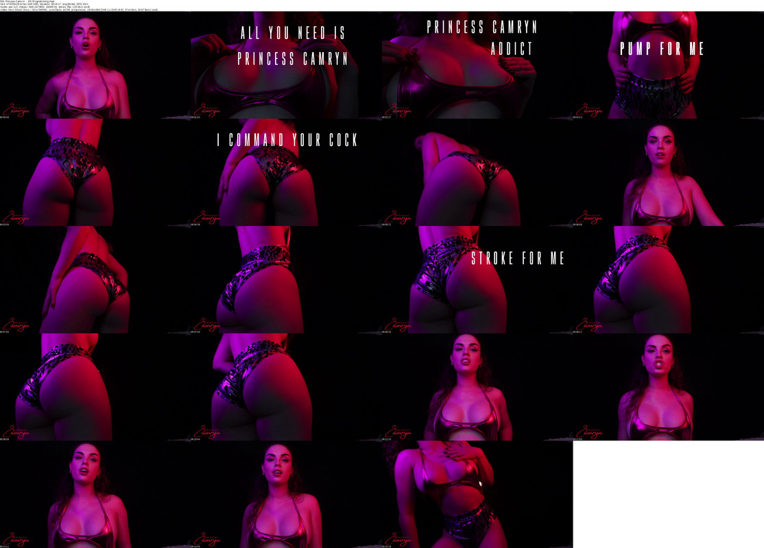 Princess Camryn - JOI Programming_s