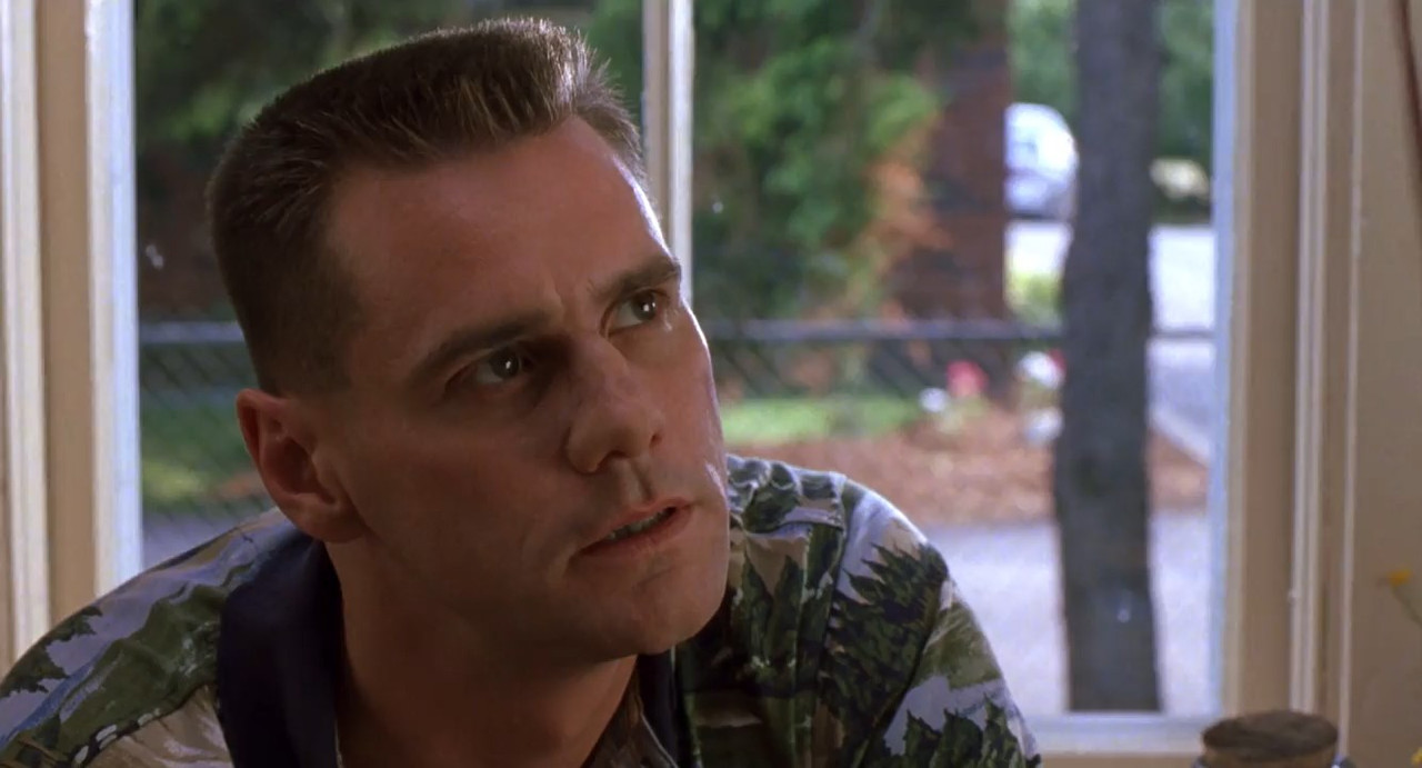 Me, Myself & Irene 2000 BluRay [Hindi + English] 480p, 720p ESub Screenshot