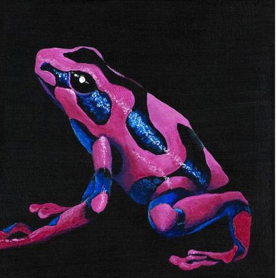 magentafrog.jpg
