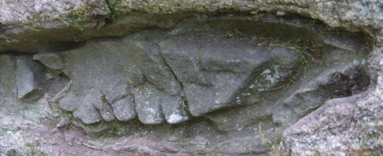kivi isona