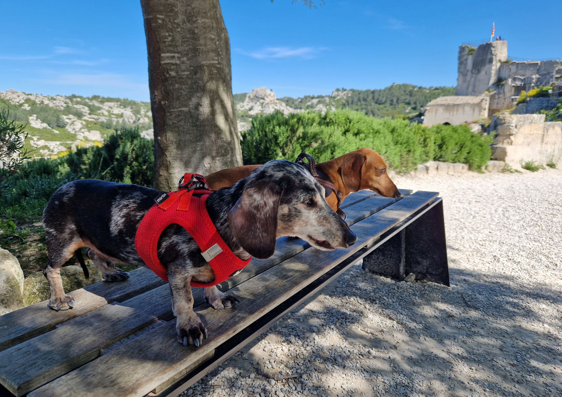 [Image: 20240511-105537.jpg]