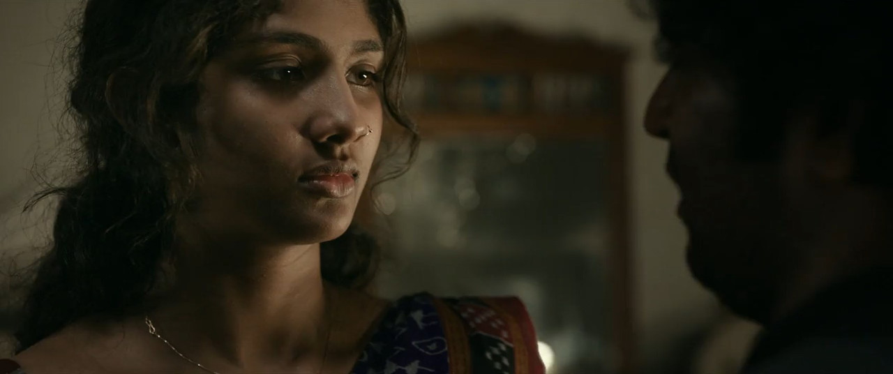 Saaree 2025 WebRip [Hindi + Tamil + Telugu + Malayalam] 480p 720p ESub Screenshot