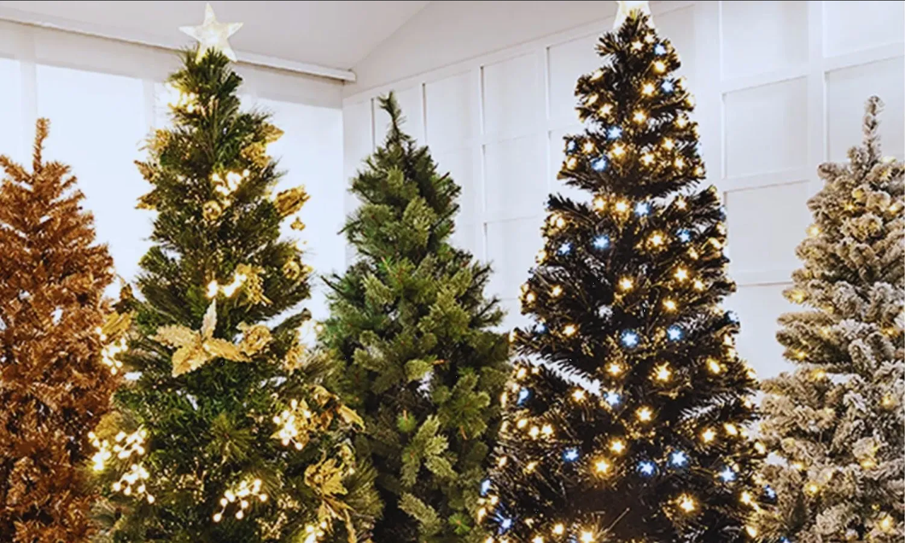 ¿Cómo elegir el árbol de navidad? Esto es lo que debes tomar en cuenta