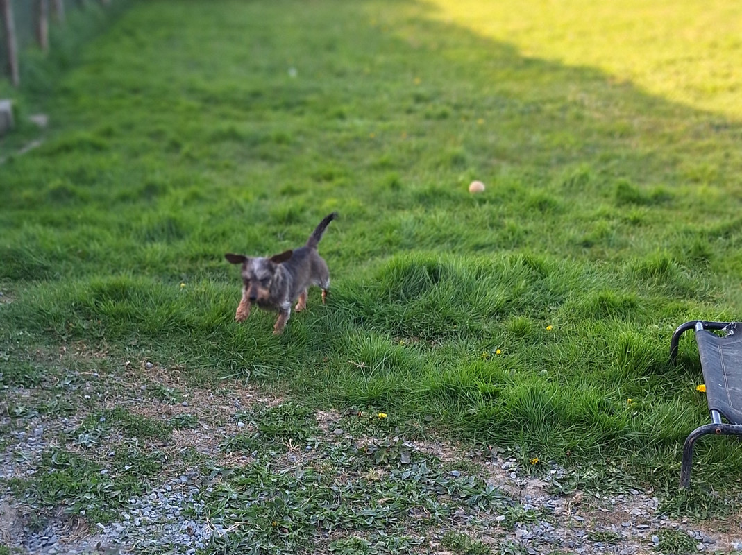 [Image: 20250411-185307.jpg]