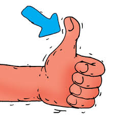 images?q=tbn:ANd9GcRzFPCjDQWcFad2s38EKOd08iBTZN-