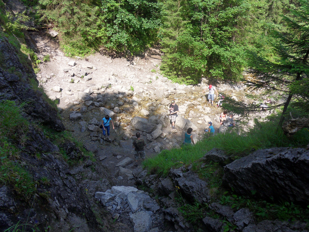 011 - SDC13777 (Czesio1)