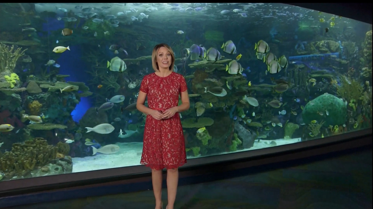 11.07 - 15.00.00 - Earth Odyssey With Dylan Dreyer. The world's smart....ts_snapshot_01.05.23.677