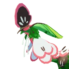 Aholai