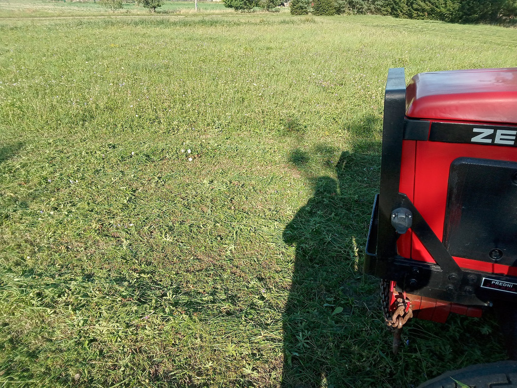 IMG_20240811_172333_MP