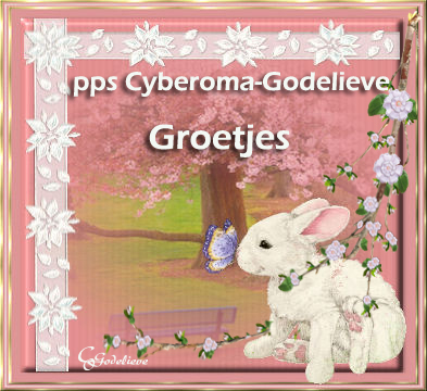 Welkom bij Cyberoma-Godelieve