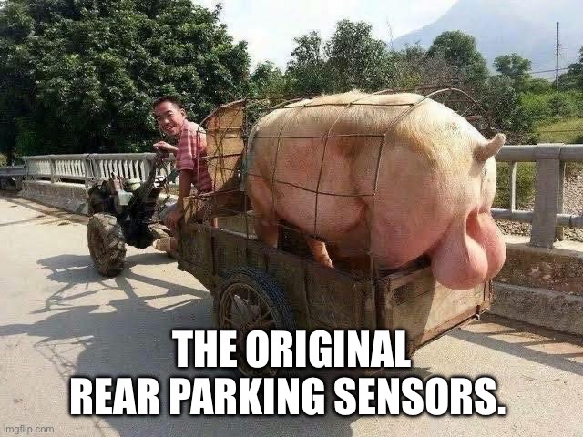 sensors.jpg