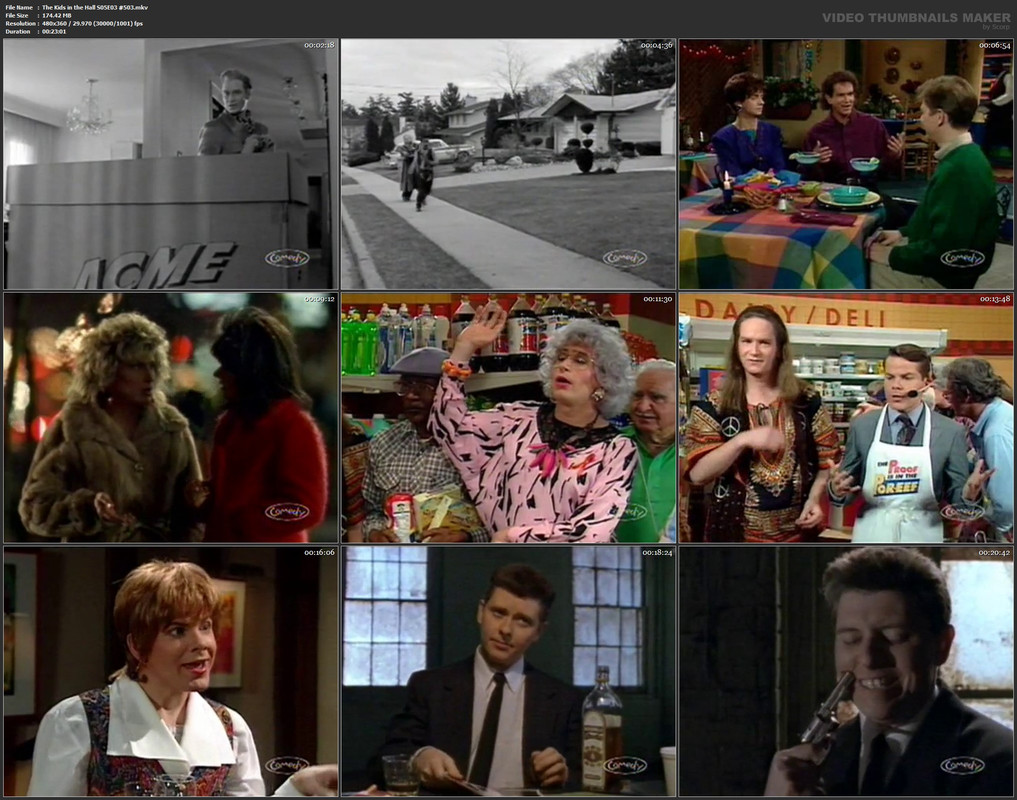 The Kids in the Hall S05E03 #503.mkv