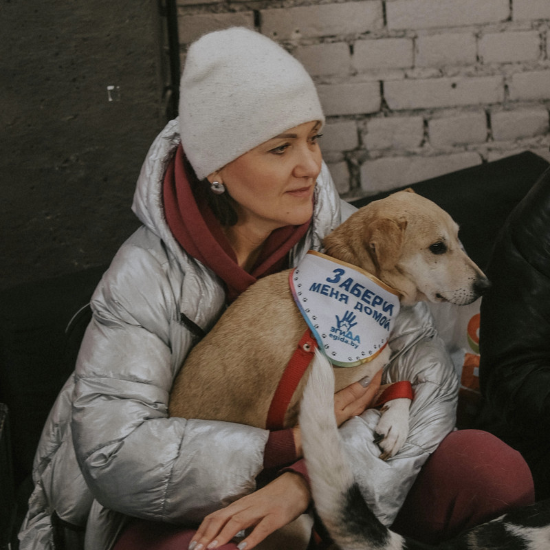 2597A889-8007-42A7-BC2B-32B21558AD29